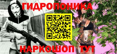 стафф Краснодар