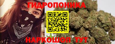 гашик Краснознаменск