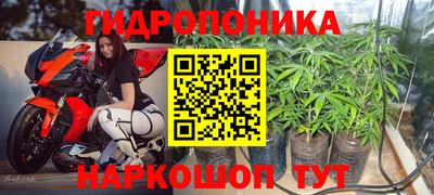 apvp Краснокаменск
