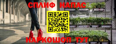 гашик Краснознаменск