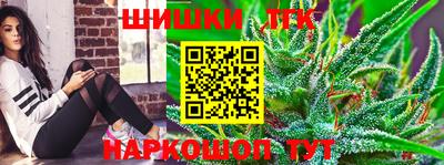 гашик Краснознаменск