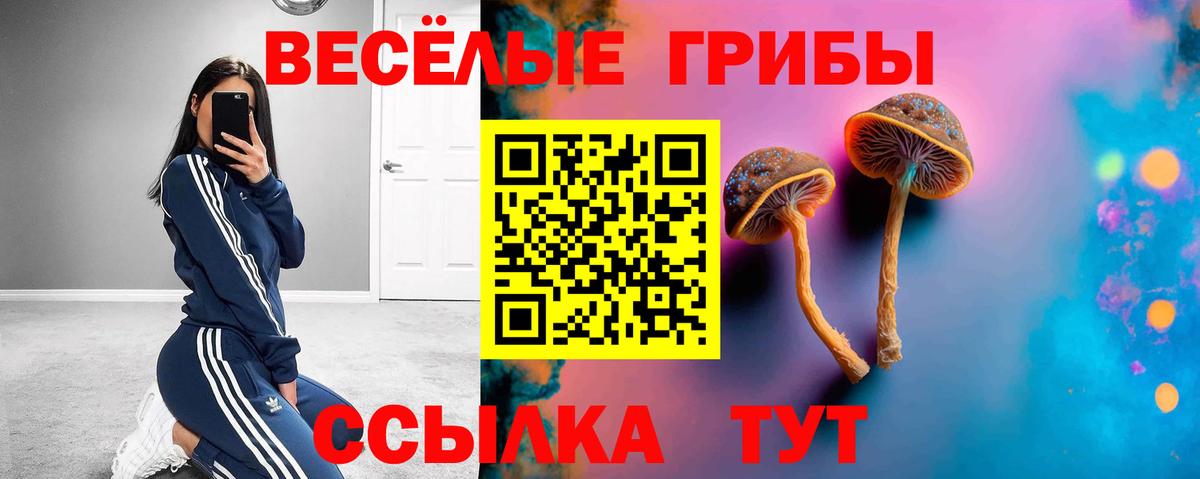 Псилоцибиновые грибы Psilocybine cubensis Камышлов