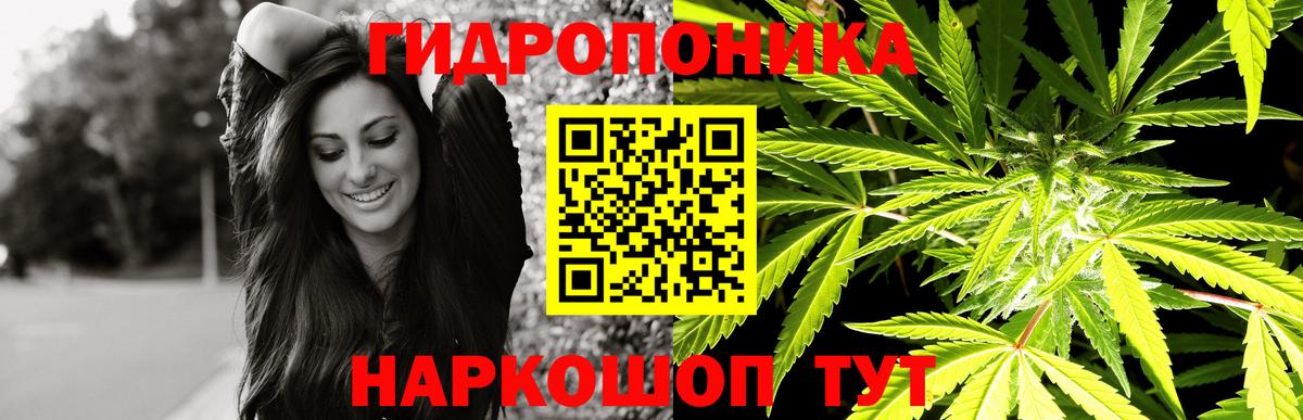Камышлов  Бошки марихуана SATIVA & INDICA  Шишки марихуана гибрид  Вход с VPN  Конопля план 